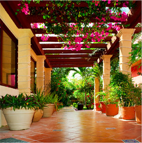 Landscape & Garden Maintenance